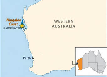 Map of WA highlighting Ningaloo Coast