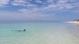 Ningaloo Reef Exmouth Red Earth Safaris Western Australia Perth to Exmouth Backpacker Tours