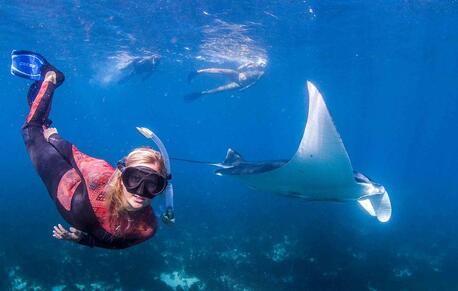 Snorkellers swimming alongside a giant reef manta ray in Coral Bay, Western Australia