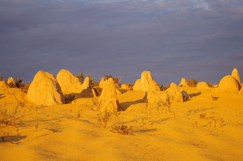 The Pinnacles Desert on a Perth to Exmouth small group tour