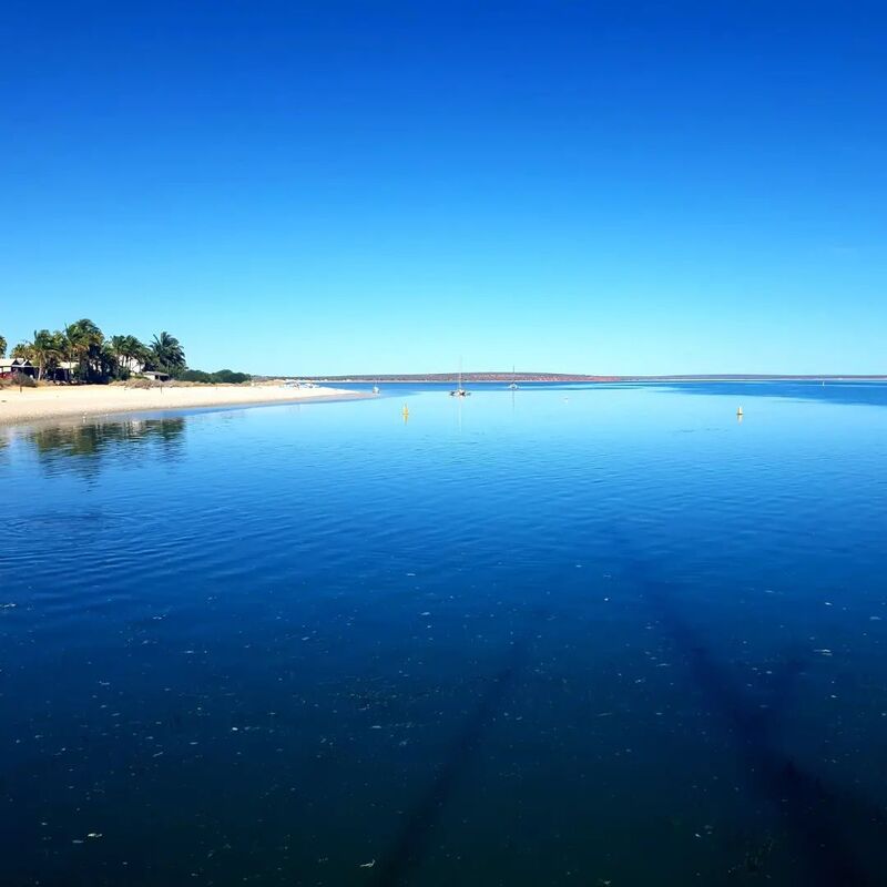 Monkey Mia, Shark Bay, Western Australia