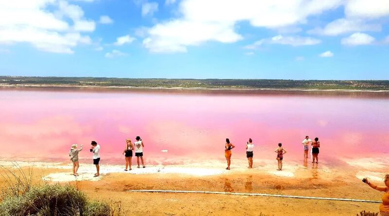 Small group at Pink Lake, Kalbarri, Western Australia