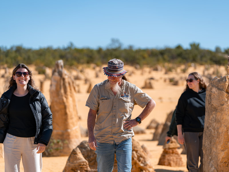 Exploring the Pinnacles Desert on a Perth to Exmouth small group tour