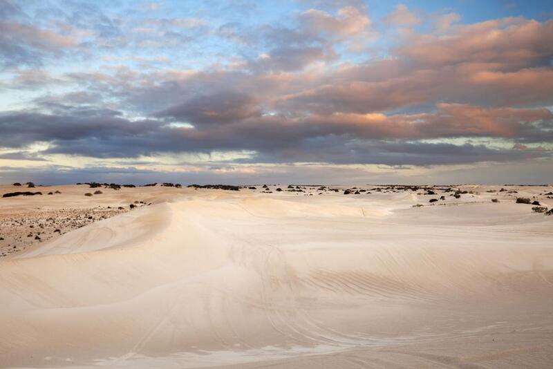 Sandboarding at Lancelin sand dunes on a Perth to Exmouth small group tour